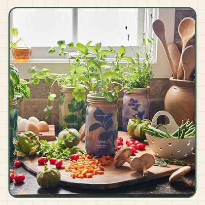 Cilantro