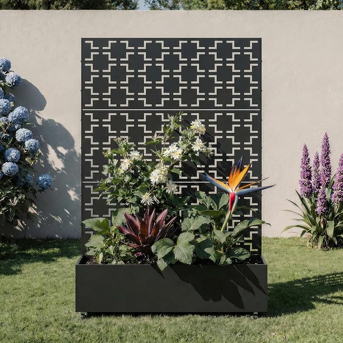 Black-square
