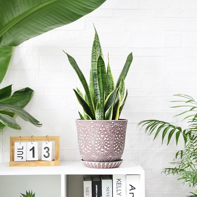 Clay+white