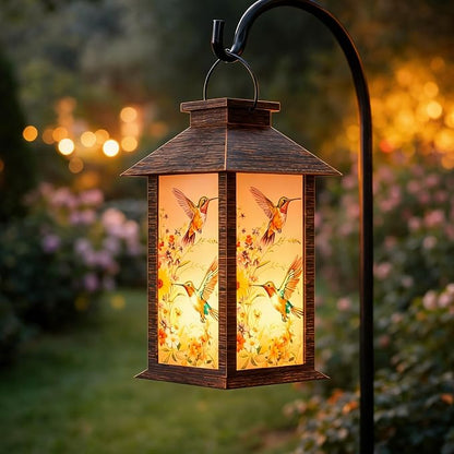 Hummingbird-1Pack