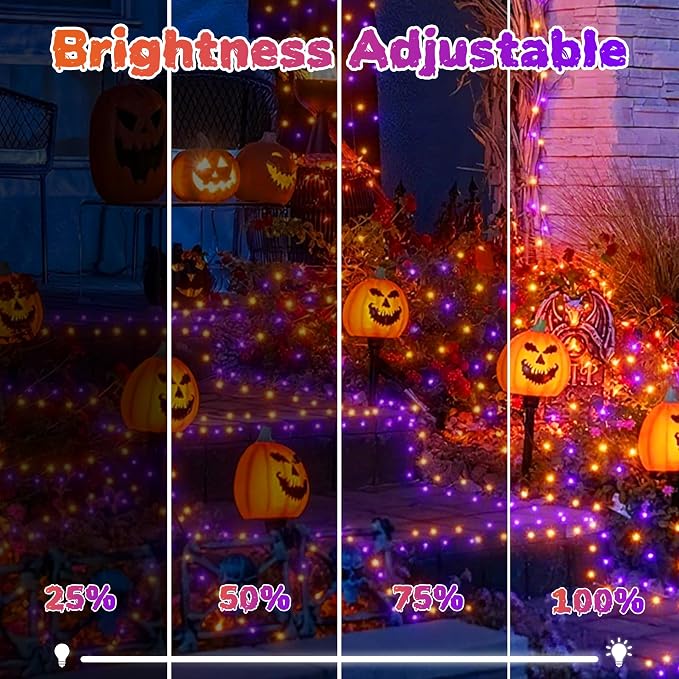 Orange + Purple