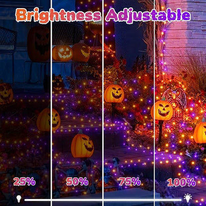 Orange + Purple