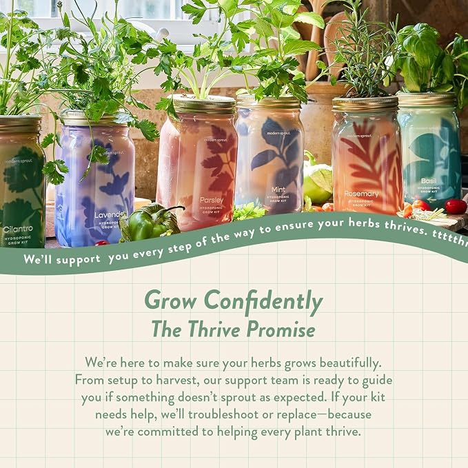 Basil, Rosemary, Parsley