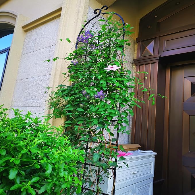__DEFAULT__
