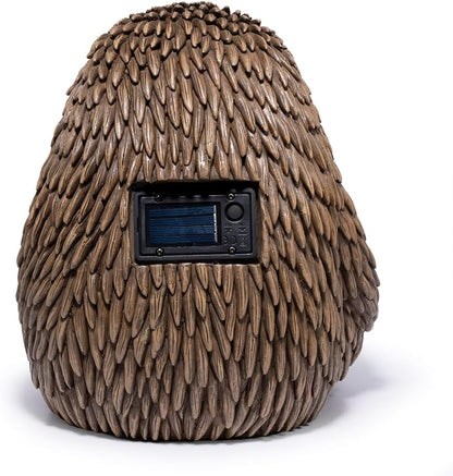 Hedgehog Family