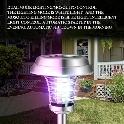 Silver Exterior, Purple, White Light