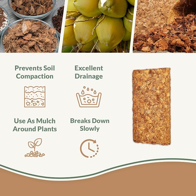 Coco Chips 650gm (5 Bricks)