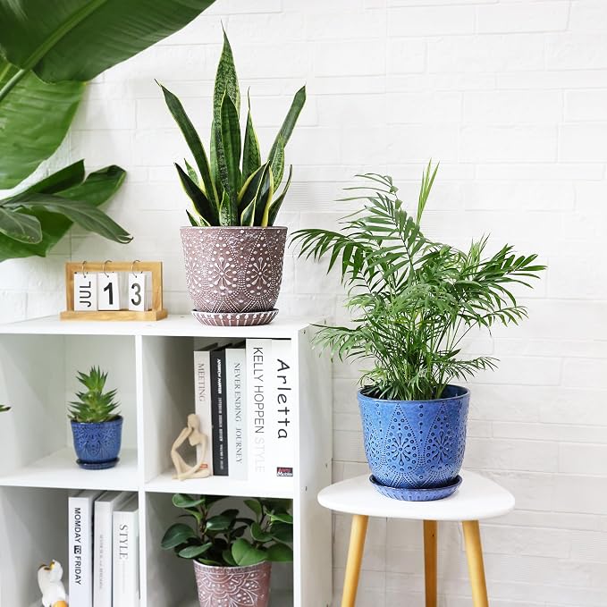 Clay+white
