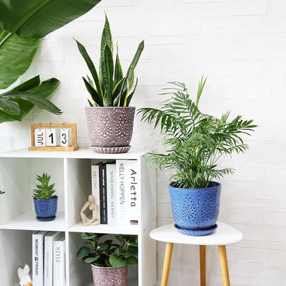 Clay+white