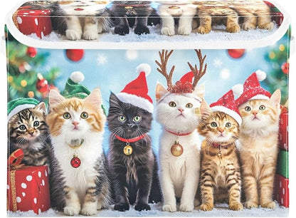 Christmas Cat 1