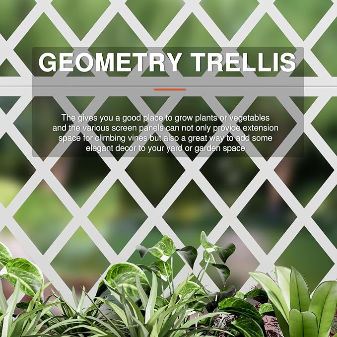 White-Rhombus