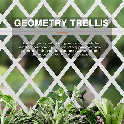 White-Rhombus
