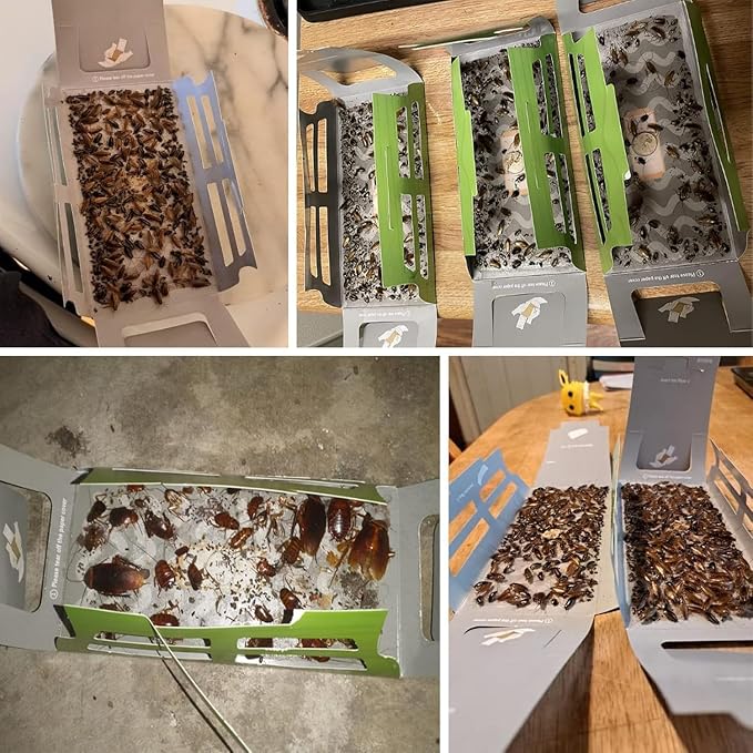 roachtrap-20 pack
