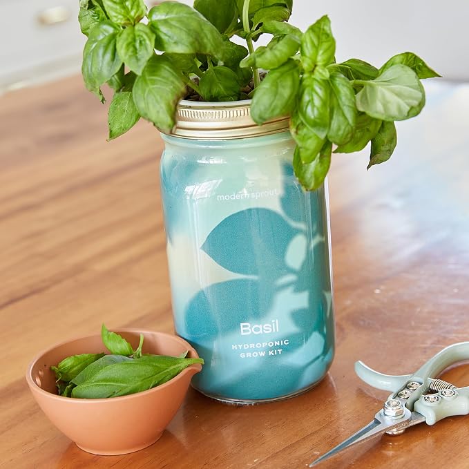 Basil + Lavender