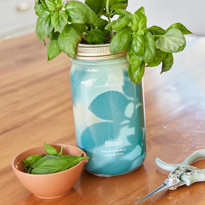 Basil + Lavender