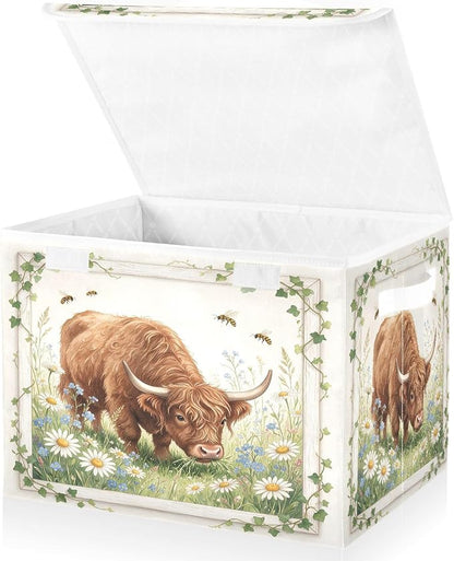 Highland Cow