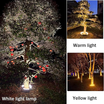 White light