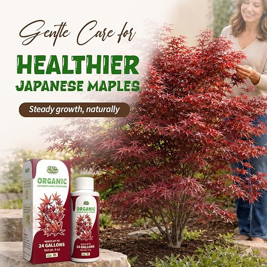 Japanese Maple Fertilizer