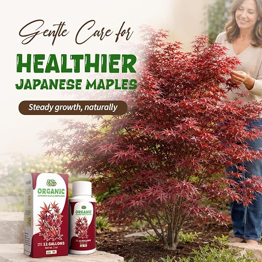Japanese Maple Fertilizer
