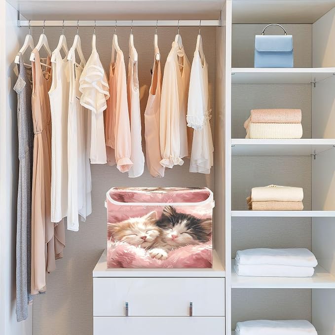 Adorable Two Cats