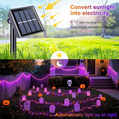 Orange and Purple