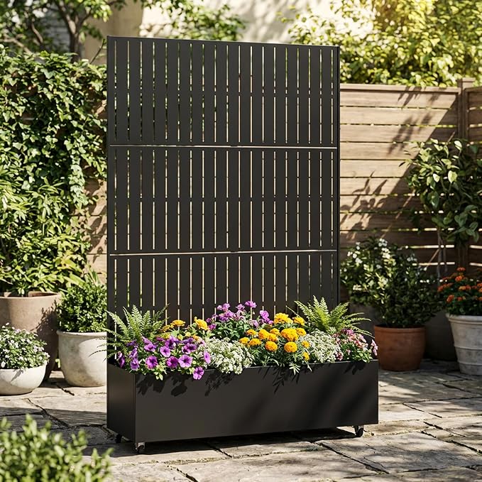 Black-fence