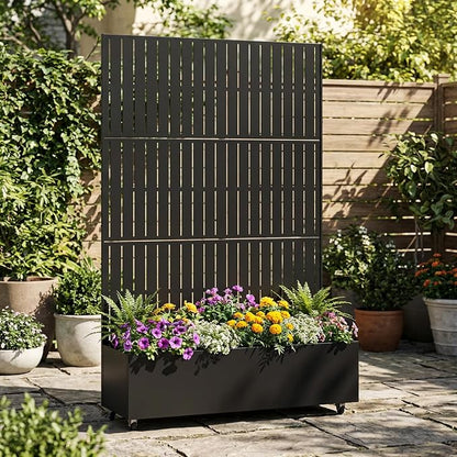 Black-fence