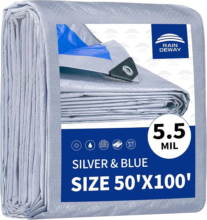 Silver/Blue