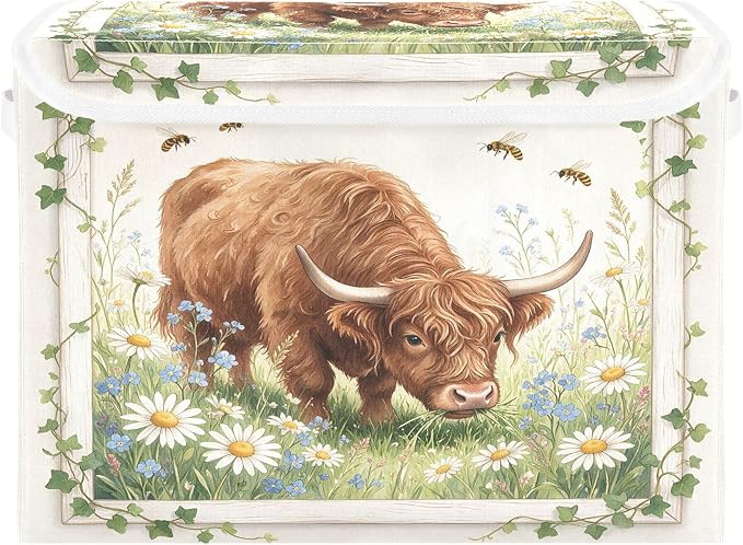 Highland Cow