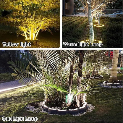 Cool Light Lamp