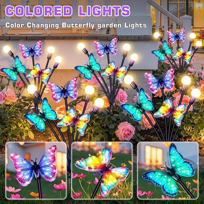 Butterfly Firefly