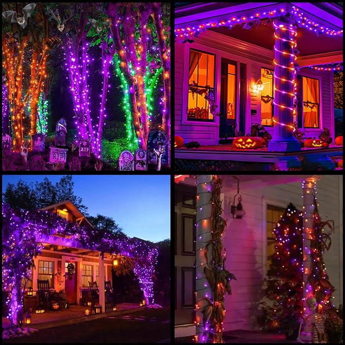 Green, Orange & Purple