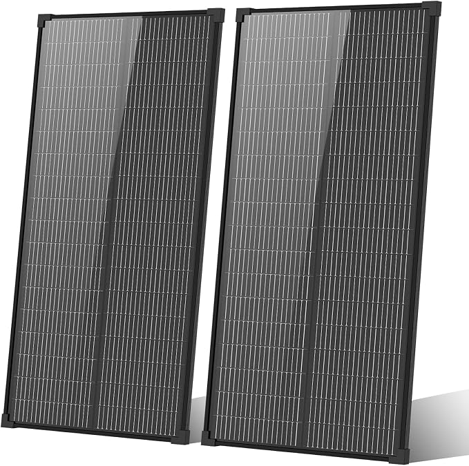 Black 100W*2