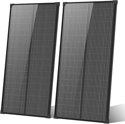 Black 100W*2