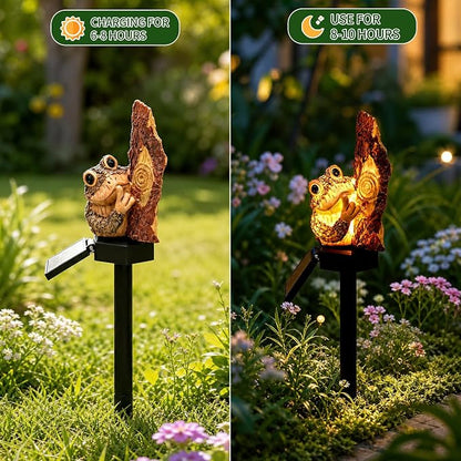 Solar Light - Toad