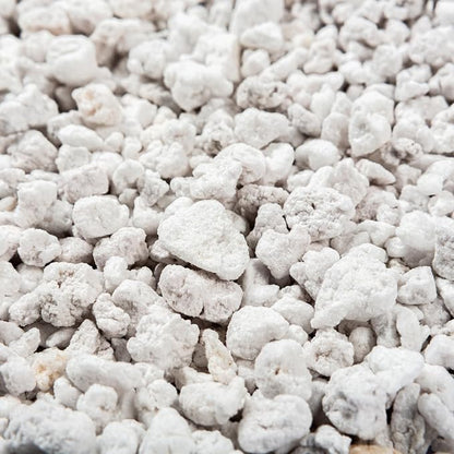 Perlite Bliss (16 Qts)