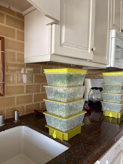 4-Tier Sprouting Kit