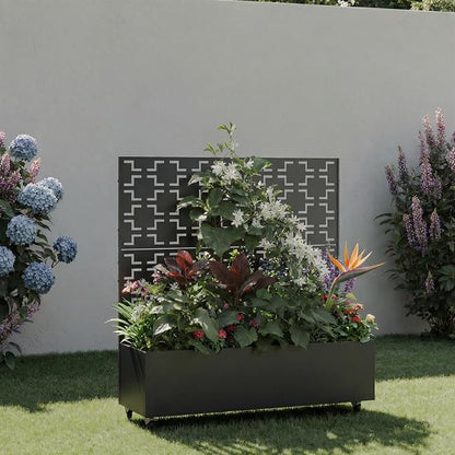Black-square