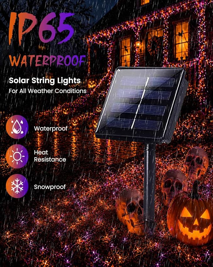 Purple and Orange