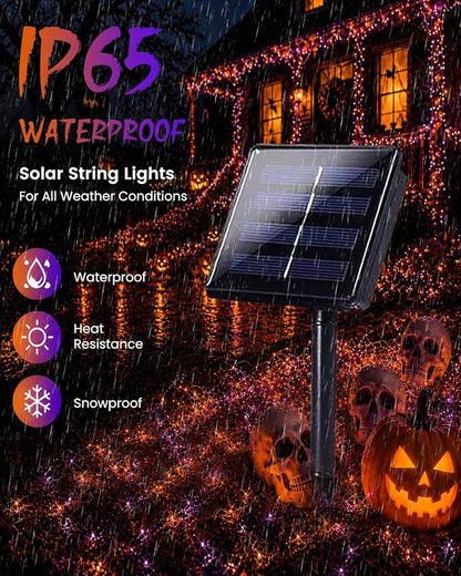 Purple and Orange