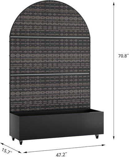 Black-crossbanding-arched
