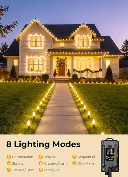 100LED Warm White