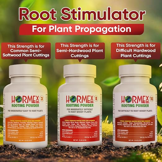 #3, 8, 16: Common Houseplants to Hardwood
