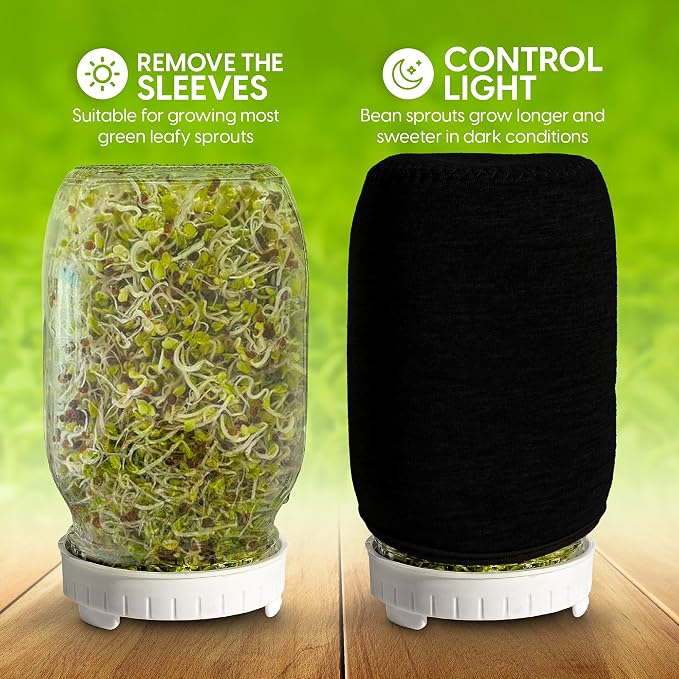 Sprouts Growing Kit & Green Onion Regrower