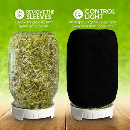Sprouts Growing Kit & Green Onion Regrower