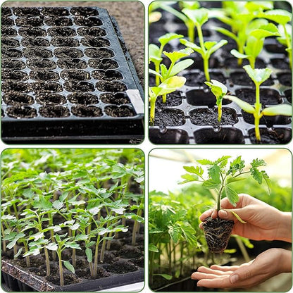__DEFAULT__
