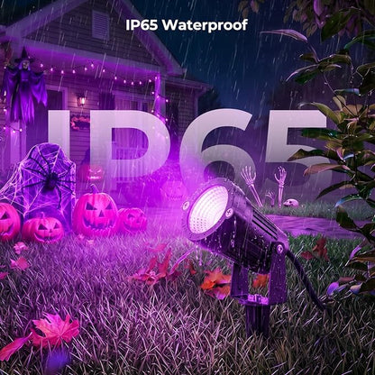 Purple & Orange