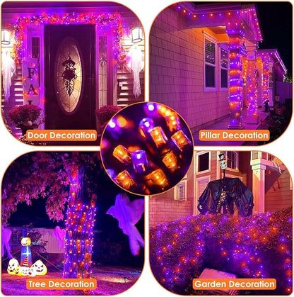 Purple & Orange