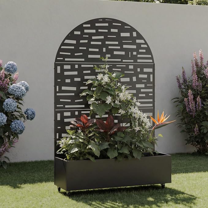 Black-gerald-arched