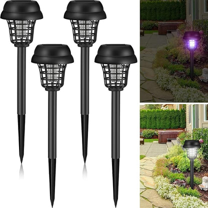 Retro Black Exterior,Purple, White Light
